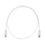 Cable de Parcheo TX6, UTP Cat6, 24 AWG, CM/LSZH, Color Blanco Mate, 3ft