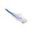 Cable de Parcheo Slim UTP Cat6 - 2 m Azul Diámetro Reducido (28 AWG)