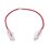 Cable de Parcheo Slim UTP Cat6 - 30 cm Rojo Diámetro Reducido (28 AWG)