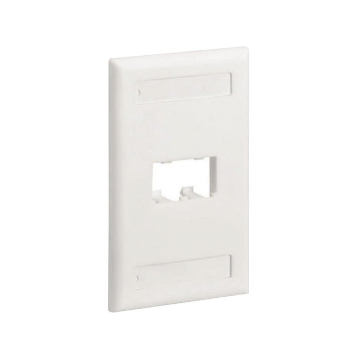 Placa de Pared Vertical Clásica, Salida Para 2 Puertos Mini-Com, Con Espacios Para Etiquetas, Color Blanco