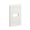 Placa de Pared Vertical Clásica, Salida Para 2 Puertos Mini-Com, Con Espacios Para Etiquetas, Color Blanco Mate