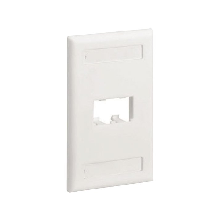 Placa de Pared Vertical Clásica, Salida Para 2 Puertos Mini-Com, Con Espacios Para Etiquetas, Color Blanco Mate