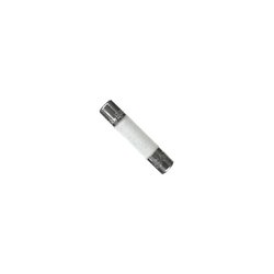 Fusible de Ceramica Tipo Europeo Time 8 Amp 250 V.