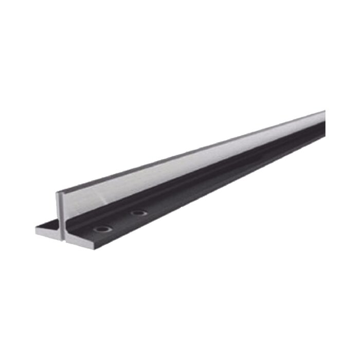Riel tipo T compatible con ACCESSFORCE y FS1000SPEED