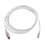 Patch Cord TERA Cat6A 1/10G Ethernet, de 4 pares y conector modular, LS0H, Color Marfil, 10m