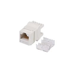 Módulo Jack Keystone Cat5e con terminación en ángulo 180 º Color Blanco