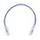 Cable de Parcheo Slim UTP Cat6 - 30 cm Azul Diámetro Reducido (28 AWG)