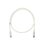 Cable de parcheo UTP Categoría 6, con plug modular en cada extremo - 3 m. - Blanco mate